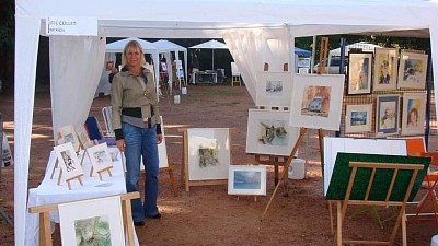 Salon de l aquarelle Rouanne