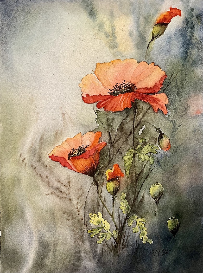 1les coquelicots
