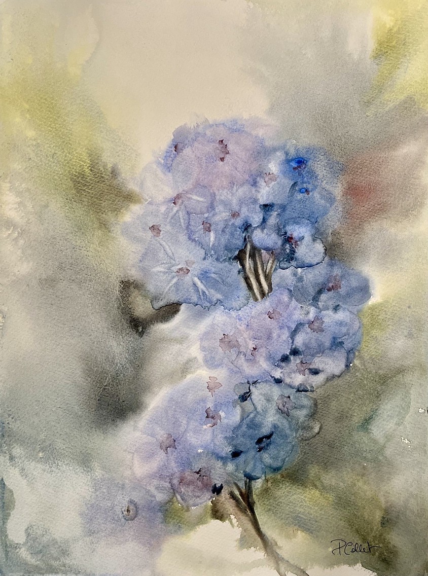 Les hortensias bleus