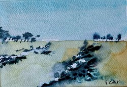 Paysages imaginaires